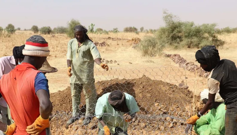 L'AFD contribue à l’accélération de la mise en oeuvre de l’initiative de la Grande Muraille Verte