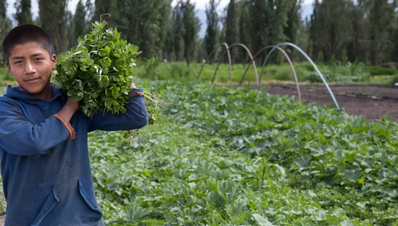  Zone patrimoniale lacustre de Xochimilco, Mexique