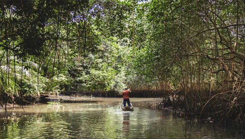 Parc national Gabon