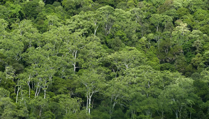 OUTRE-MER NOUVELLE CALEDONIE