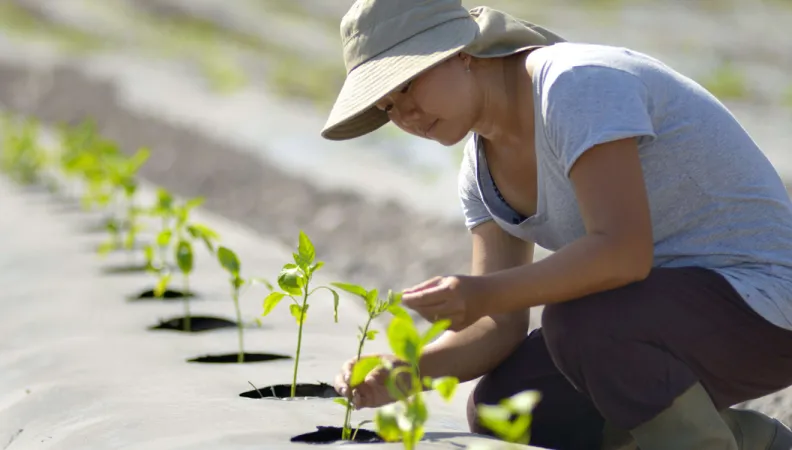 AFD Nos programmes de recherche