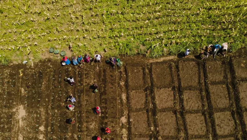 Mai 2023 : l'AFD soutient 20 nouveaux projets d'OSC
