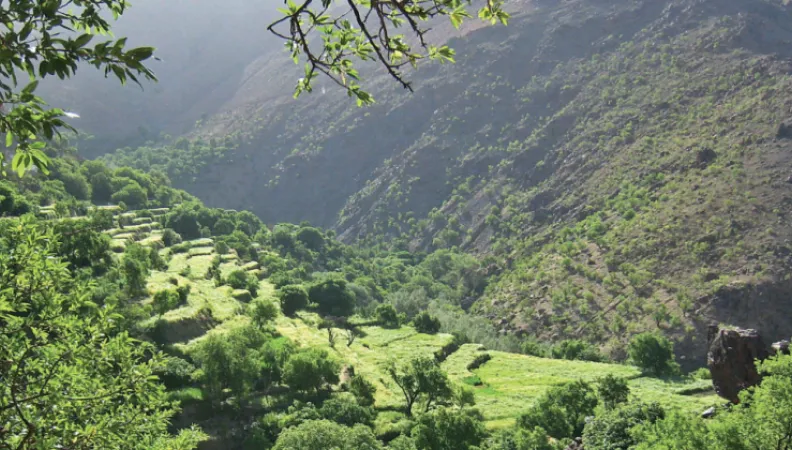  L’AFD accompagne l'ONG Migration & développement pour un massif du Siroua résilient et protégé, au Maroc
