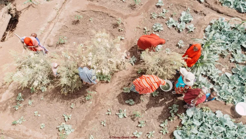 projets restauration de la nature AFD