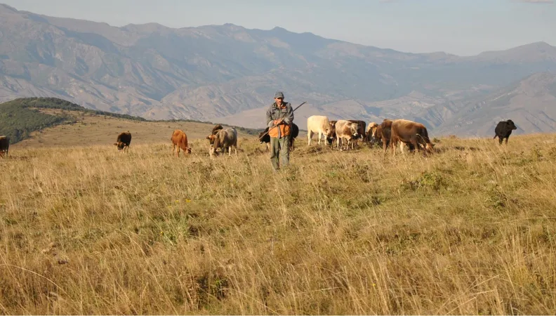 Les agriculteurs unis pour le développement agricole du Petit Caucase en Géorgie