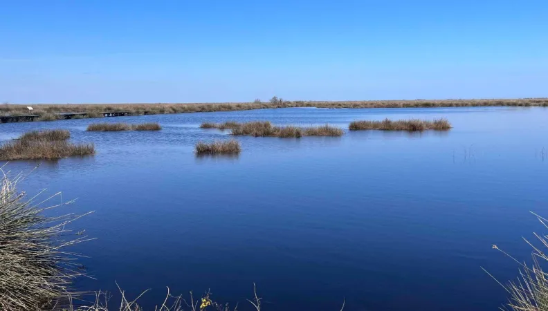 Juillet 2023 : l'AFD soutient 29 nouveaux projets d'OSC