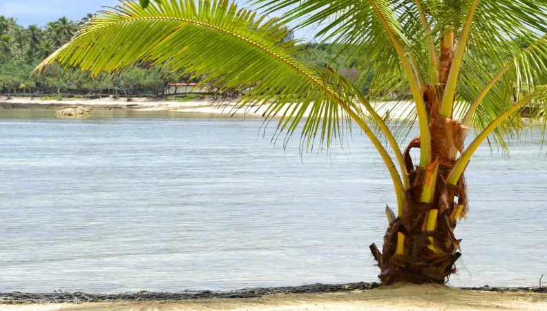 Changement climatique et biodiversité 
