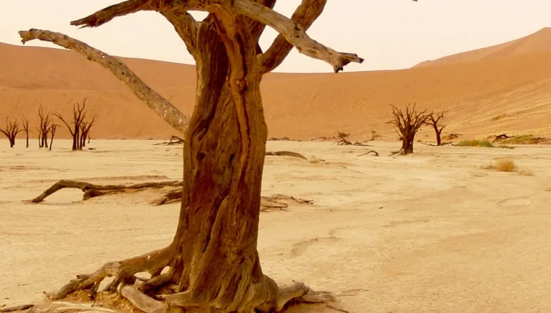 Namibian desert COP28