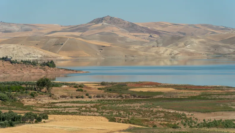 Conférence économie africaine 2024 