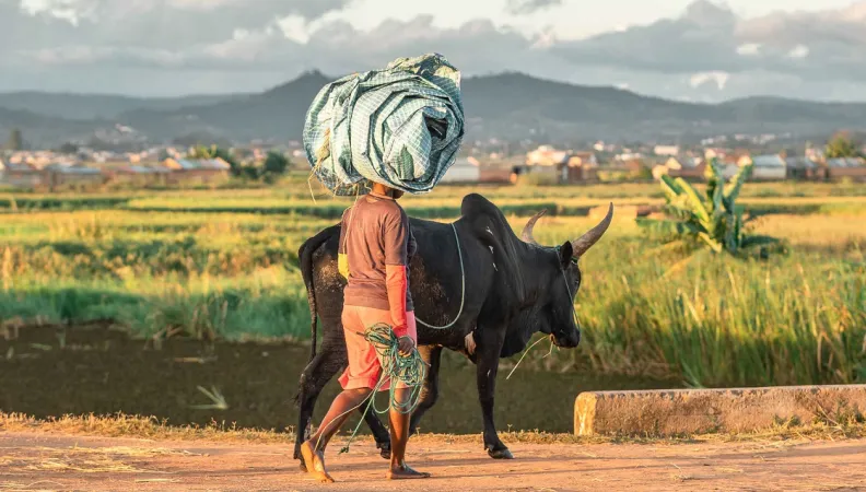 aide osc mai 2024 AFD