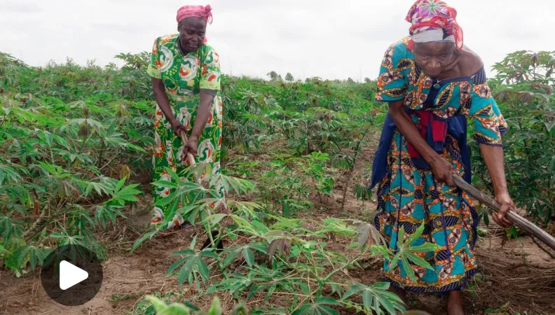 action sociale congo femmes agriculture