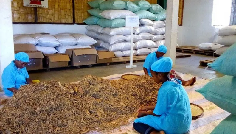 Ce projet vise à contribuer au développement économique durable de coopératives de petits producteurs à Madagascar