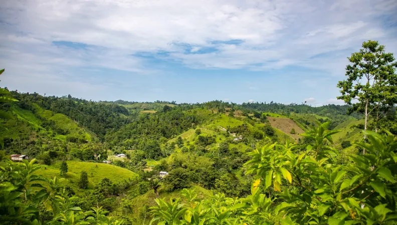 COP29 groupe AFD Bakou Azerbaïdjan