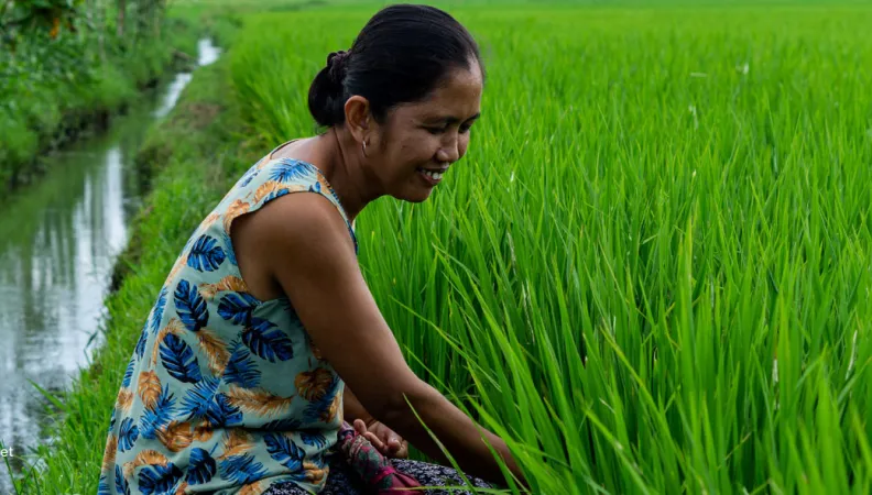 Ce projet vise à renforcer les institutions de microfinance, entreprises sociales, agribusiness et investisseurs à impact, sur leur gestion basée sur les données de résultats afin d' améliorer l’impact positif sur les bénéficiaires.