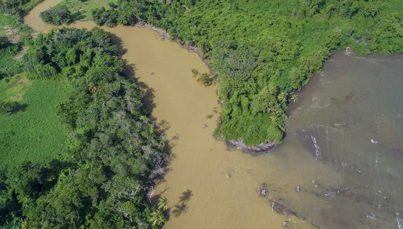 Ce projet vise la restauration de plusieurs sites de mangroves dans la Caraïbe 