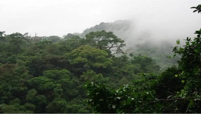 AMENAGEMENT ET SUIVI DES FORETS DU CAMEROUN 2ème PHASE DU C2D PSFE