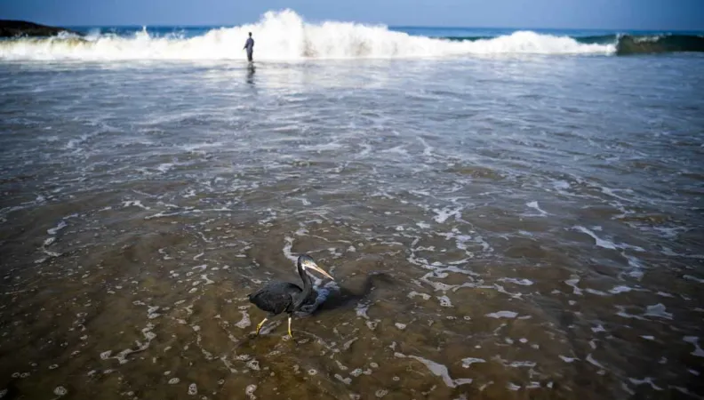 L'AFD participe à l'UNOC #3