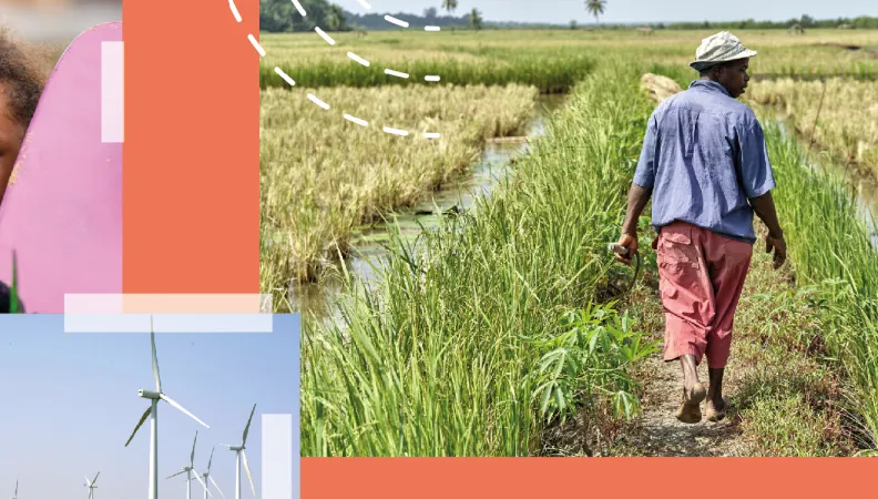 Les résultats 2024 du groupe AFD