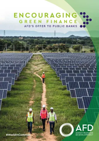 Encouraging green finance: AFD's offer to public banks