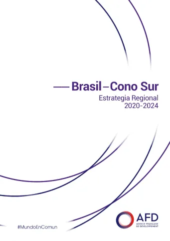 Brasil-Cono Sur: estrategia regional