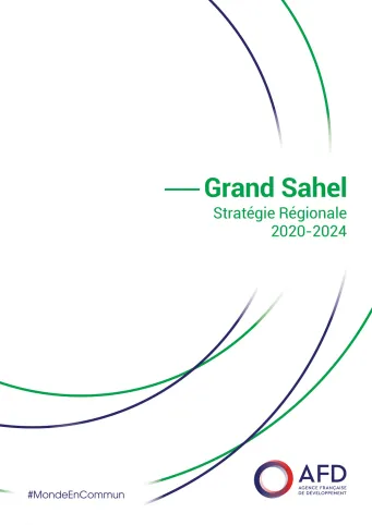 Stratégie régionale Grand Sahel 2020-2024