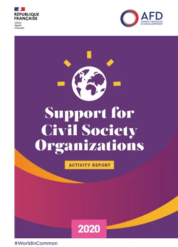 Support for Civil Society Organizations - 2020 Activity Report