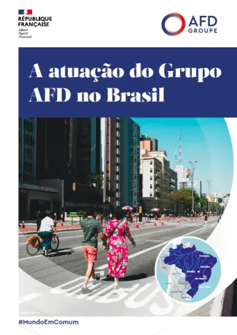 A atuação do Grupo AFD no Brasil