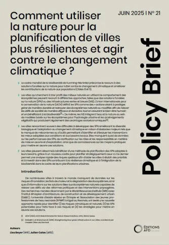 Couv Policy Brief 21 VF