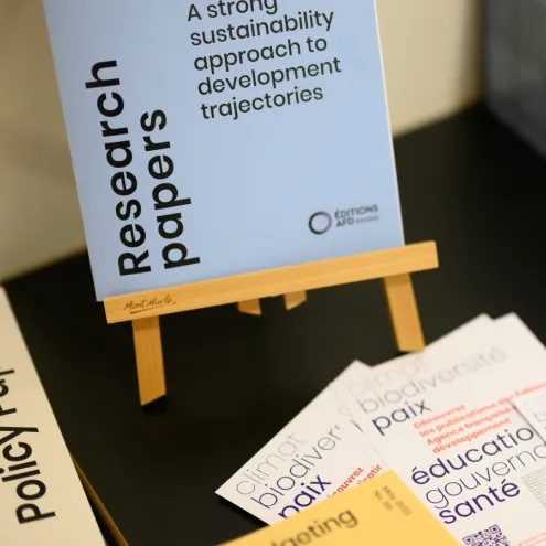 Publications de recherche de l'AFD