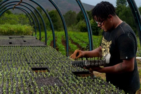 SOGEFOM - Société de gestion de fonds de garantie d’Outre-mer