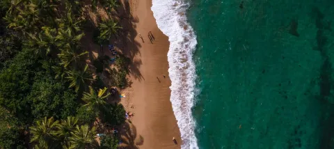 Vue aerienne Martinique plage ocean AFD Outre-mer ile