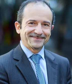 Jean-Pierre Marcelli, AFD