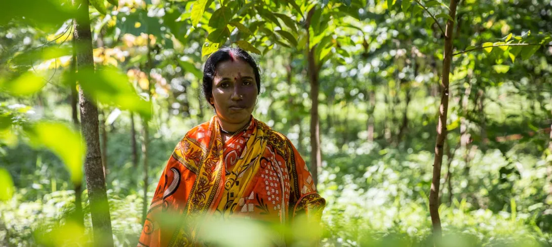 Restaurer les écosystèmes forestiers avec les habitants d'Assam